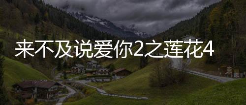 來(lái)不及說(shuō)愛你2之蓮花4