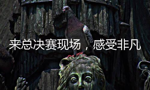 來總決賽現場，感受非凡“綠色力量”！