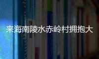 來海南陵水赤嶺村擁抱大海吧 最美晚霞等你來賞