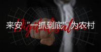 來安“一抓到底”為農村電商賦能聚力_