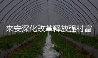 來安深化改革釋放強(qiáng)村富民新動(dòng)能_