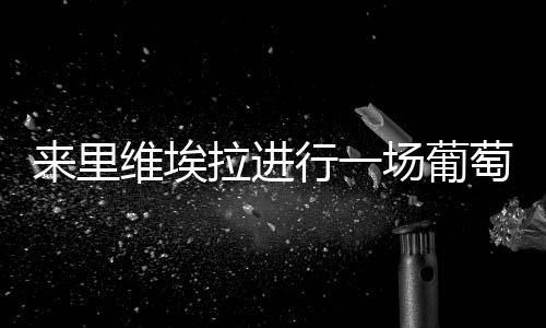 來里維埃拉進行一場葡萄酒的夢幻之旅吧！
