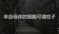 來自母體的細胞可調控子代免疫系統