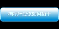 枸杞葉應(yīng)該如何曬干