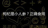 枸杞是小人參？正確食用枸杞能抗腫瘤