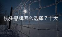 枕頭品牌怎么選擇？十大口碑最好的枕頭