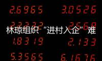 林瓊組織“進(jìn)村入企”難題協(xié)調(diào)