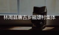 林周縣唐古鄉藏雄村集體經濟收入突破1000萬元