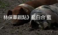 林保華觀點》藍白合 藍白和 藍白黑