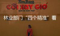 林業(yè)部門“四個精準(zhǔn)”著力提升森林質(zhì)量和效益