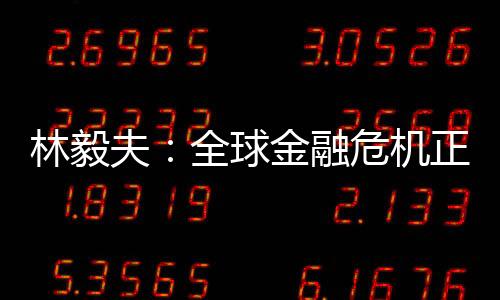 林毅夫：全球金融危機正轉為實體經濟危機