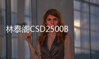 林泰閣CSD2500B 用于埃及大型公路項目