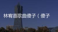 林宥嘉歌曲傻子（傻子 林宥嘉 歌詞）