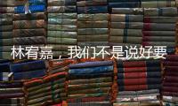 林宥嘉，我們不是說好要禁欲的嗎?