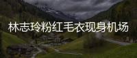 林志玲粉紅毛衣現(xiàn)身機(jī)場(chǎng) 春風(fēng)拂面笑意盈盈