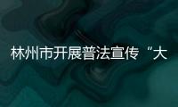 林州市開(kāi)展普法宣傳“大走訪(fǎng)”活動(dòng)