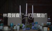 林霞督查“一打三整治”工作