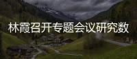 林霞召開專題會議研究數字化改革工作