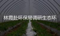 林霞赴環(huán)保局調(diào)研生態(tài)環(huán)保工作