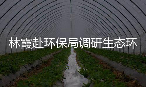 林霞赴環保局調研生態環保工作