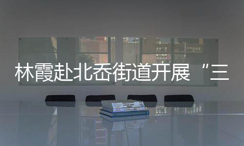 林霞赴北岙街道開展“三助三紅”“三服務”活動