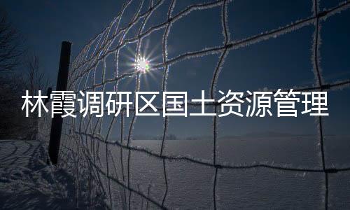 林霞調研區國土資源管理工作