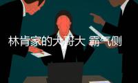 林肯家的大哥大 霸氣側(cè)漏的領(lǐng)航員L官圖