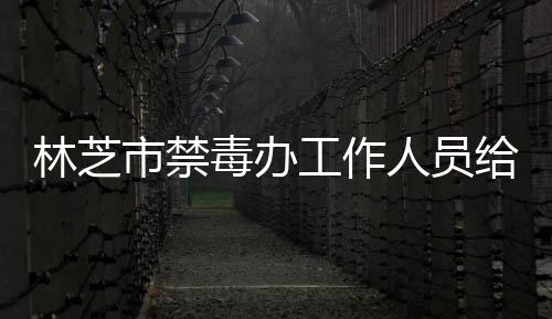 林芝市禁毒辦工作人員給學生講解毒品的危害