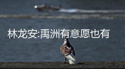 林龍安:禹洲有意愿也有能力帶領(lǐng)團(tuán)隊走出行業(yè)低谷