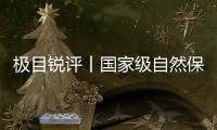 極目銳評丨國家級自然保護區遍布捕鳥網，保護鳥的人去哪里了？