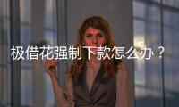 極借花強(qiáng)制下款怎么辦？極借花全國(guó)客服電話是多少