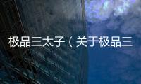 極品三太子（關于極品三太子的基本情況說明介紹）