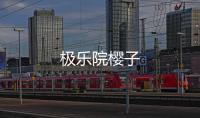 極樂院櫻子