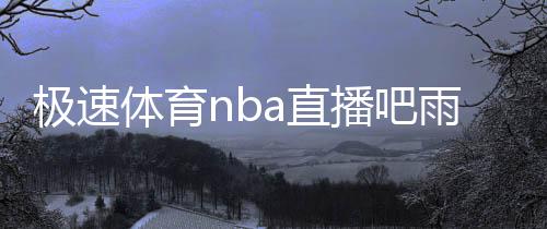 極速體育nba直播吧雨燕