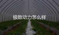 極致動力怎么樣