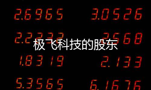 極飛科技的股東