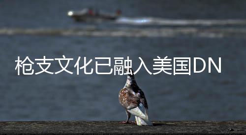 槍支文化已融入美國DNA 無休止暴力何時(shí)休