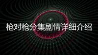 槍對槍分集劇情詳細介紹12