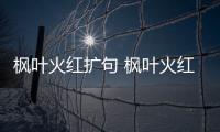 楓葉火紅擴句 楓葉火紅擴寫句子