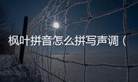 楓葉拼音怎么拼寫聲調(diào)（楓葉拼音）