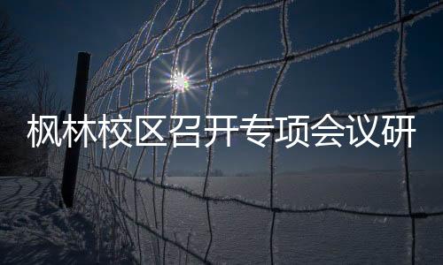 楓林校區(qū)召開(kāi)專(zhuān)項(xiàng)會(huì)議研究部署安全工作