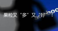 果粒又“多”又“好”！果果樂果粒果汁美哉！