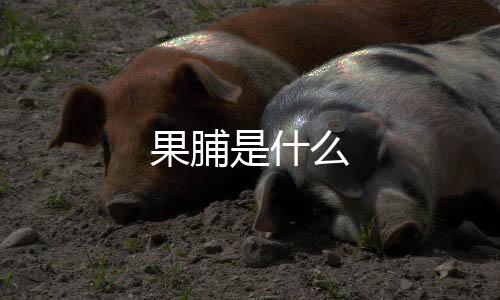 果脯是什么