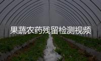 果蔬農藥殘留檢測視頻