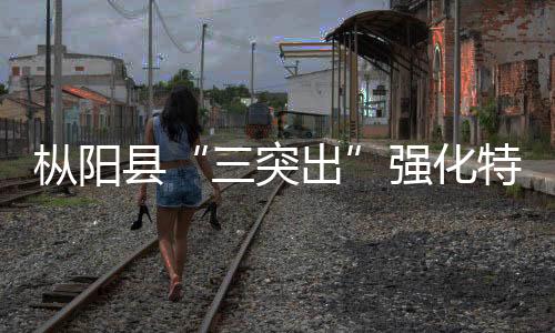 樅陽縣“三突出”強化特種設備監管保安全