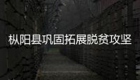 樅陽縣鞏固拓展脫貧攻堅(jiān)成果同鄉(xiāng)村振興有效銜接春季培訓(xùn)班開班