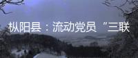 樅陽縣：流動黨員“三聯”動 助力家鄉戰“疫”情