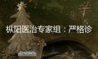 樅陽(yáng)醫(yī)治專家組：嚴(yán)格診療 協(xié)力戰(zhàn)疫