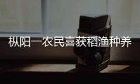 樅陽一農(nóng)民喜獲稻漁種養(yǎng)業(yè)“養(yǎng)殖能手”稱號(hào)