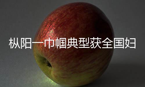 樅陽一巾幗典型獲全國婦聯表彰
